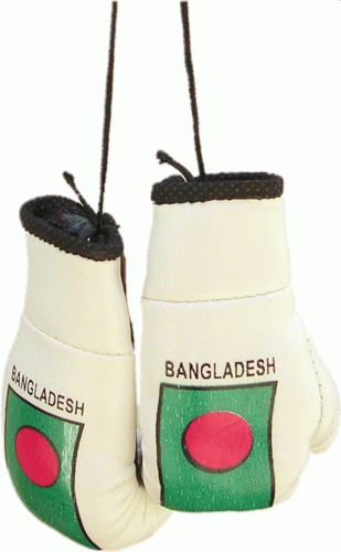 Boxing Gloves Car Hanging, Bangladesh