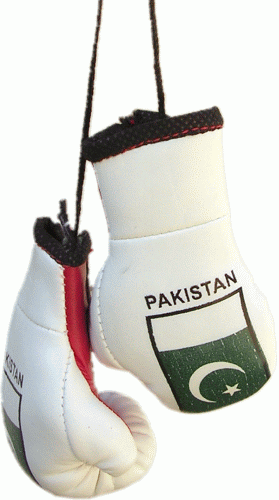 Boxing Gloves Car Hanging, Pakistan